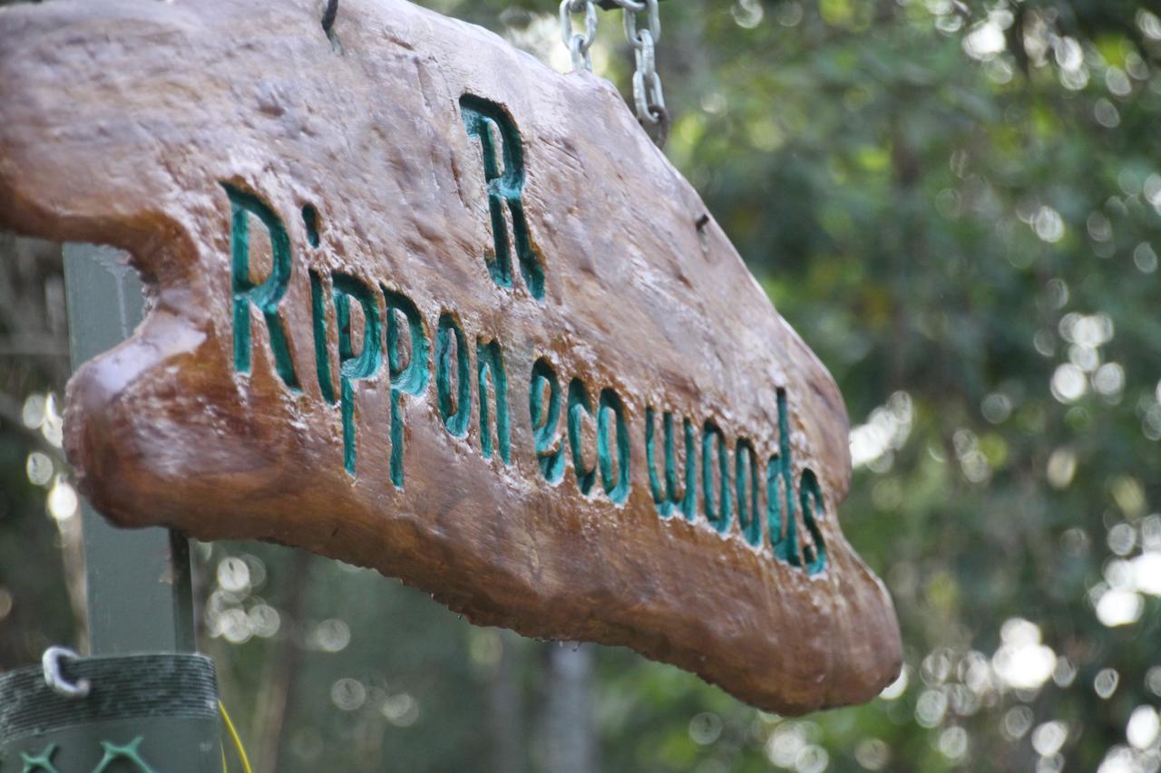 Rippon Eco Woods Villa Kalpetta Exterior photo